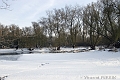 Riviere gelee